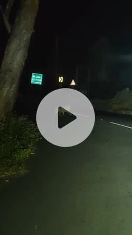 வால்பாறை: ரொட்டி கடை குடியிருப்பு பகுதியில் சிறுத்தை நடமாட்டம்