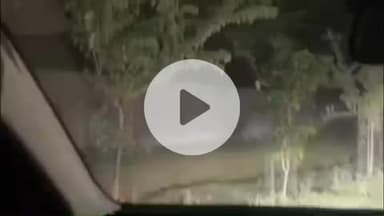 लाडपुरा: कोटा के माला रोड़ पर फिर दिखा पैंथर, कार चालक ने बनाया वीडियो, वन विभाग ने सावधान रहने की अपील की