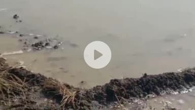 बीना: ग्राम हासलखेड़ी में सिंचाई पाइपलाइन से खेत में भरा पानी, फसल बर्बाद, किसान ने मुआवजे की मांग की