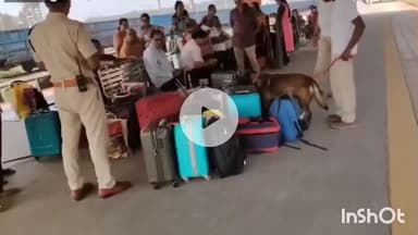 जगदलपुर: दिल्ली में बम धमाके के बाद जगदलपुर रेलवे स्टेशन में हाई अलर्ट, स्टेशन परिसर और आसपास के इलाकों में सर्चिंग