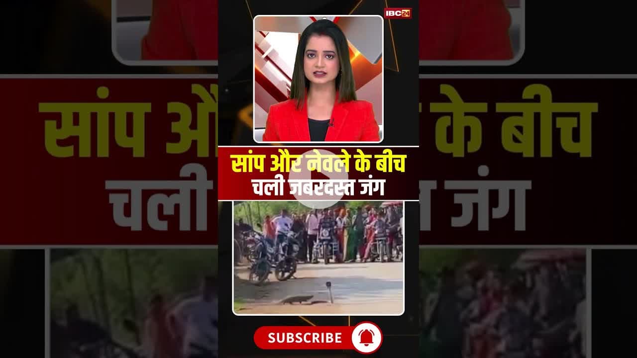 सांप और नेवले के बीच चली जबरदस्त जंग #snake #snakevideo #viralvideo #viralnews