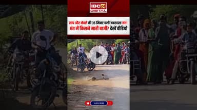 सांप और नेवले की 35 मिनट चली जबरदस्त जंग! #snake #Mongoose #snakefight #animals #animalvideos
