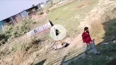 मुज़फ्फरनगर: मुजफ्फरनगर में दबंगों ने स्कूटी पर बरसाए लाठी-डंडे, गोदाम का गेट तोड़ने की कोशिश, जान से मारने की धमकी दी, वीडियो वायरल