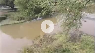 हमीरपुर: चंदौली डेरा में नाला के रपटे में पैर फिसलने से नौनिहाल डूबा, मौत, घर से आंगनबाड़ी पढ़ने जा रहा था