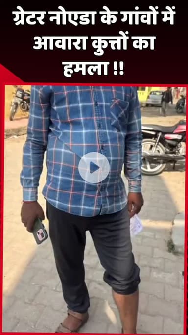 दादरी: ग्रेटर नोएडा के गांवों में आवारा कुत्तों ने किया हमला