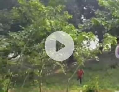 विभूतिपुर: विभूतिपुर में एक सप्ताह बाद मिला युवक का शव, सदमे में डूबे परिजन