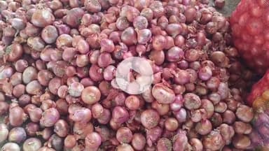 कालापीपल: कालापीपल कृषि उपज मंडी में बुधवार को प्याज के भाव में ₹100 प्रति क्विंटल की गिरावट