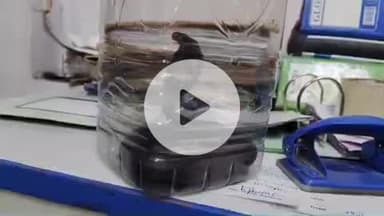 लाडपुरा: अनंतपुरा सर्विस स्टेशन पर ट्रक के टायर में घुसा कोबरा सांप, मचा हड़कंप, स्नेक केचर ने किया रेस्क्यू