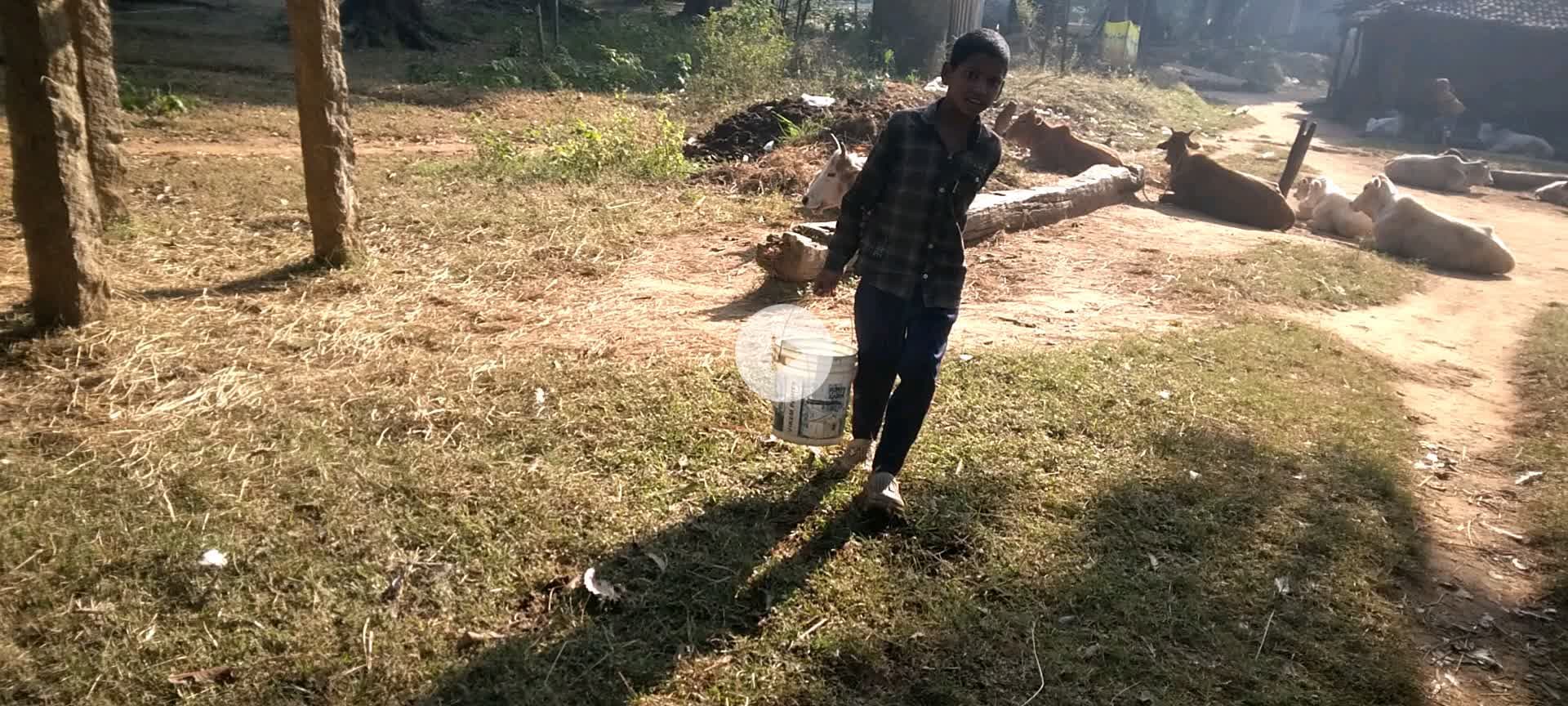 छोटे बच्चे के द्वारा पेड़ पौधा के प्रति रुची,
