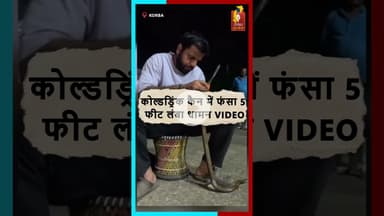 कैन में फंसा 5 फीट लंबा सांप! स्नेक कैचर ने बचाया जान #BreakingNews #SnakeRescue