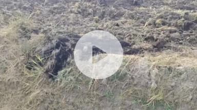 पानीपत: पराली जलाने पर किसान के खिलाफ मामला दर्ज, सेटेलाइट से हुई घटना की पहचान