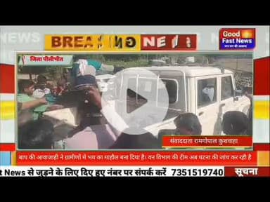 बाघ की आवाजाही ने ग्रामीणों में भय का माहौल बना दिया है। वन विभाग की टीम अब घटना की जांच कर रही है