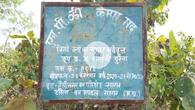 जैसीनगर: जैसीनगर वन परिक्षेत्र के अगरिया बीट में लापरवाही: लाखों की फेंसिंग जाली गायब, पौधे असुरक्षित