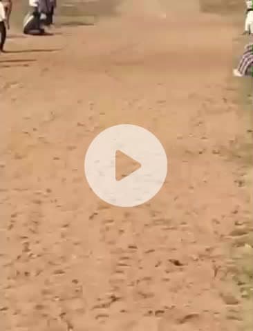 గట్టు: గట్టు మండల కేంద్రంలోని అంబా భవని జాతర సందర్భంగా శునకాల పరుగు పందెం పోటీలు నిర్వహణ