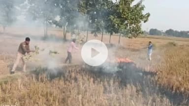 नौतनवा: शीशगढ़ में पराली जलाने के मामले में तीन किसानों पर लगाया गया जुर्माना