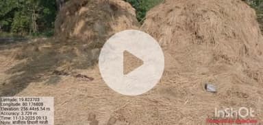 मुलचेरा: विकासपल्ली नंतर आता गरंजी परिसरात रानटी हत्तीचा कळप दाखल,शेतकऱ्यांचे धानाचे मोठे नुकसान