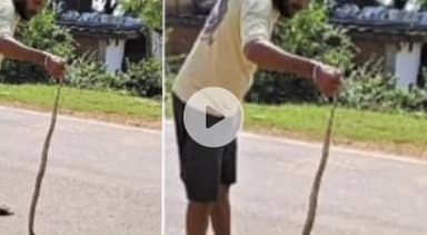 ढीमरखेड़ा: बरेली ग्राम में सांप निकलने से ग्रामीणों में दहशत