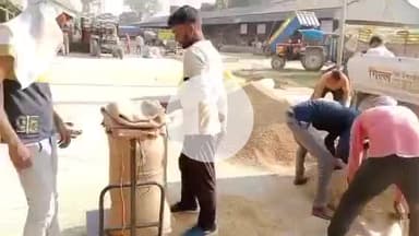 लखीमपुर: लखीमपुर के राजापुर मंडी में सुचारू रूप से हो रही धान की खरीद, टोकन व्यवस्था से किसान बेफिक्र