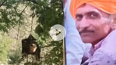 खंडवा नगर: खंडवा में पेड़ पर लटकती मिली खोपड़ी, पुलिस ने शुरू की जांच, परिवार को हत्या की आशंका