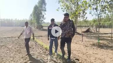 जगाधरी: यमुनानगर: कलेसर जंगल से भटका हाथी, अराईयांवाला गांव में खेतों और झोपड़ियों को पहुंचाया नुकसान, किसानों ने बचाई जान