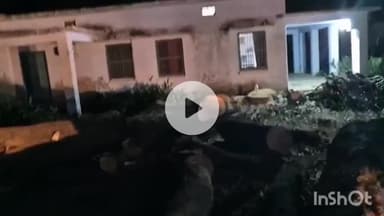 धामपुर: अफजलगढ़ क्षेत्र की कालागढ़ कॉलोनी में आम के हरे-भरे वृक्ष काटने की सूचना पर आसपास के लोग मौके पर पहुंचे