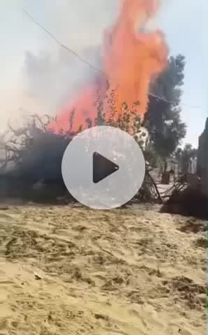 बाड़मेर: रोहिली क्षेत्र में आग का तांडव, किसान को हुआ लाखों का नुकसान