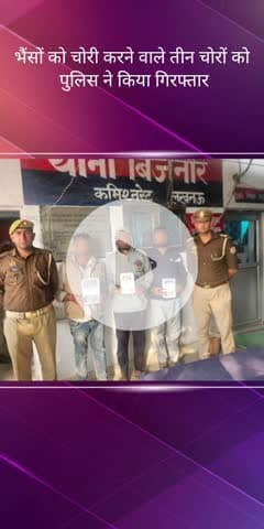 सरोजनी नगर: बिजनौर क्षेत्र में तीन भैंस चोरी कर बेचने वाले तीन आरोपियों को पुलिस ने किया गिरफ्तार