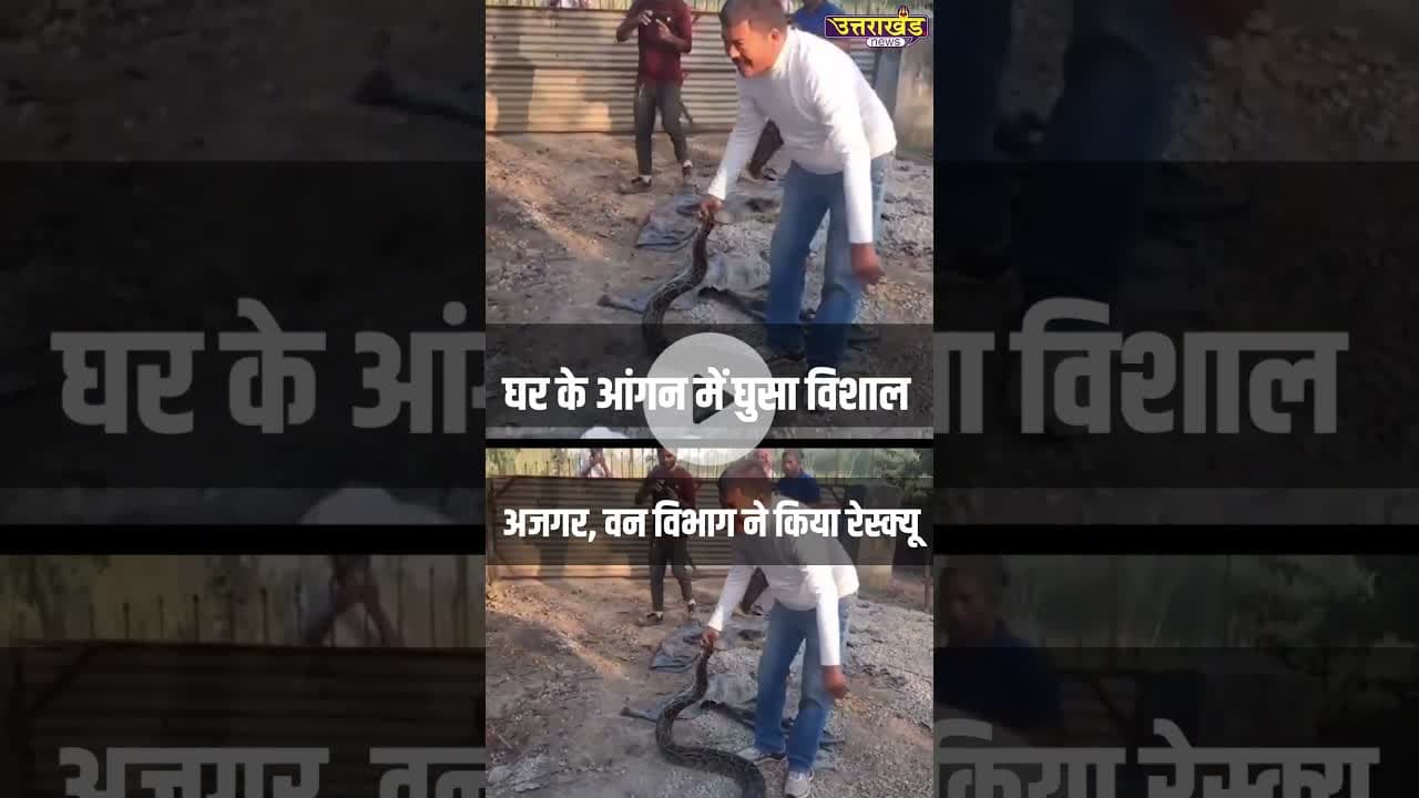 घर के आंगन में घुसा विशाल अजगर, वन विभाग ने किया रेस्क्यू #uttarakhandnews #viralvideo #snakevideo