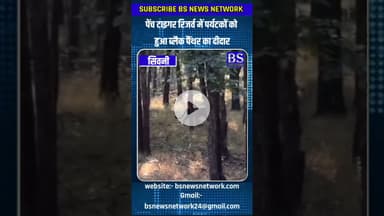 पेंच टाइगर रिजर्व में पर्यटकों को हुआ ब्लैक पैंथर का दीदार #BlackPanther #PenchTigerReserve #Wildlif