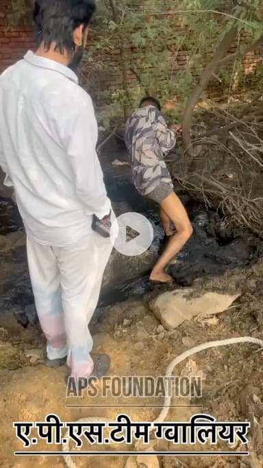 नाले में डाली डाली घुट रही थी दाम गाये माता डाली रही दंदल में..! 

Respect Girls help poor help animals 

#apsgurjar #gwalior