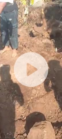 Village machhi post borgon