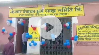 सरमेरा: सरमेरा के केनार पैक्स में विपणन 2025-26 के तहत धान की खरीदारी की गई