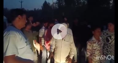 धामपुर: अफजलगढ क्षेत्र के गांव मौहम्मदपुर राजौरी में बाघ ने दो भेड़ों पर हमला कर घायल किया, एक भेड़ को उठाकर ले गया