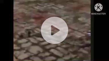 हमीरपुर: बंधा के पास चौरा देवी मार्ग पर मिला 10 फीट का अजगर, टीम ने पकड़कर सुरक्षित स्थान पर छोड़ा