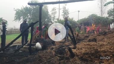 नौतनवा: टेढ़ी गांव में फूस की पशुशाला में लगी आग, दो मवेशी जलकर मरे