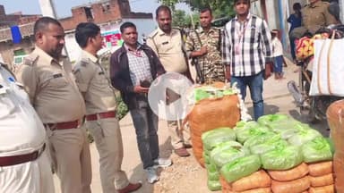 चेनारी: चेनारी थाना ने गुप्त सूचना के आधार पर एक पिकअप गाड़ी से 156 किलो गांजा किया ज़ब्त