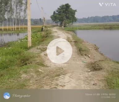 मनसाही : - छोटी मोहनपुर से दहोगा बहियार होते हुए बिसनपुर जाने वाली ईंट सोलिंग सड़क जर्जर।