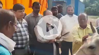 खड्डा: कुशीनगर में गौशालाओं का औचक निरीक्षण, खडडा में सुधार के निर्देश, पडरौना की व्यवस्था की सराहना, कलेक्ट्रेट में हुई बैठक