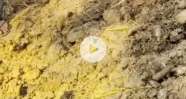 नरवाई जलाने पर कटनी के बाकल पुलिस थाने में एफआईआर दर्ज