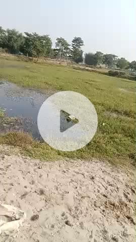 बिहार के फारबिसगंज प्रखंड से पोठिया में वार्ड नंबर 9 गांव कुछ परेशानी के सामना करना पड़ता है जनता लोग को 🚩🚩🚩🚩💯♥️🏆