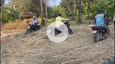 दोडामार्ग: दोडामार्ग तालुक्यातील भाताच्या मळणीसाठी शेतकऱ्यांनी वापरलेला अनोखा जुगाड जिल्ह्यात जोरदार होतोय वायरल