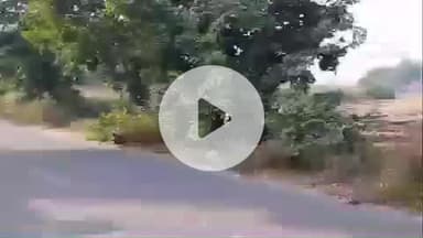 सोनीपत: जिले में फसल अवशेषों में आगजनी की तीन और लोकेशन सैटेलाइट से आई सामने, आंकड़ा 44 तक पहुंचा