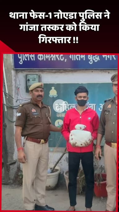 दादरी: नोएडा के थाना फेस-1 पुलिस ने गांजा तस्कर को किया गिरफ्तार