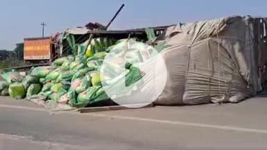 झांसी: डगरवाहा गांव स्थित झांसी-शिवपुरी हाईवे पर गाय बचाते समय ट्रक डिवाइडर से टकराकर पलटा, तीन लोग हुए मामूली घायल