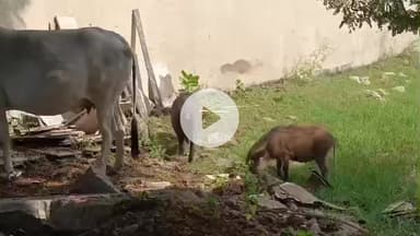 लाडपुरा: कोटा के बोरखेड़ा समृद्धि कालोनी में बढ़ती समस्याएँ, नायक ने दिया 7 दिन का अल्टीमेटम, हल न होने पर बड़ा आंदोलन