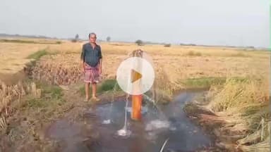 हिरणपुर: वीरग्राम में धरती का वरदान, बिना मोटर के छलक रहा जल, खुशहाल हुए किसान #pakur #hiranpur #kissan #nature
