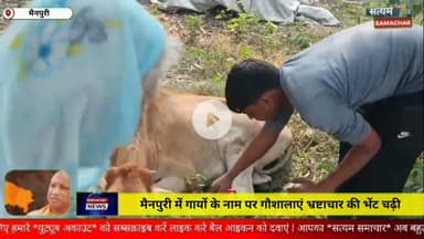 मैनपुरी/UP– मैनपुरी में गायों के नाम पर गौशालाएं भ्रष्टाचार की भेंट चढ़ी