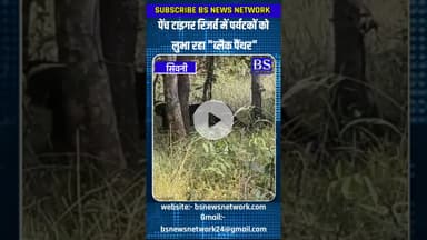पर्यटकों को लुभा रहा ब्लैक पैंथर #seoninews #blackpanther #penchtigerreserve