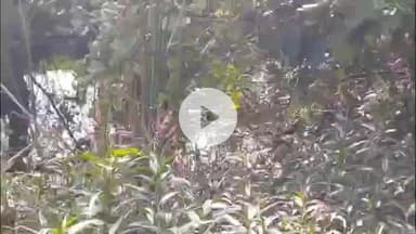 लाडपुरा: नगर निगम के वार्ड 19 कृष्णा नगर में लोग गंदगी में रहने को मजबूर कोई सुनने वाला नही #jansamsya