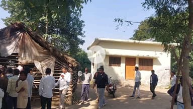 पूरनपुर: पताबोझी गांव के पास बाघ की चहलकदमी से दहशत, गोवंश का किया शिकार